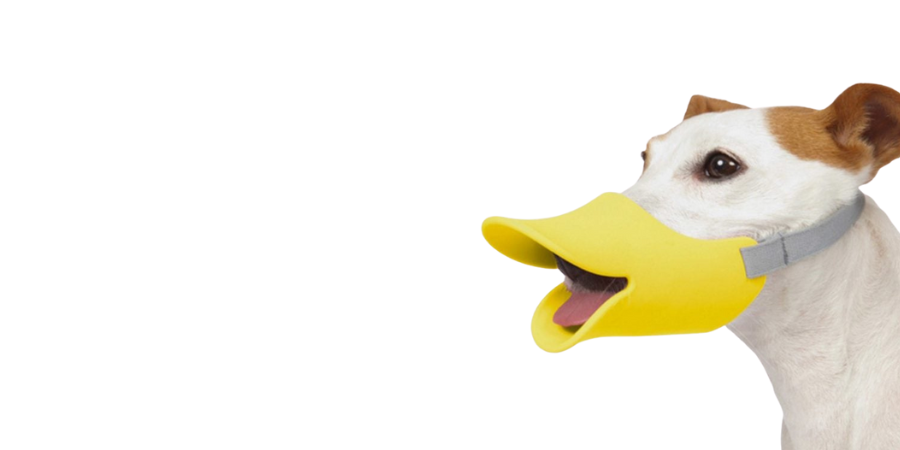 Verrückt aus dem Drucker: 3D-gedruckte Wunderwerke der letzten Jahre